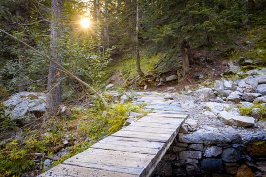 Wooden bridge over river in a forest, connecting footpaths. Sunbeams through trees. Nature and landscape.