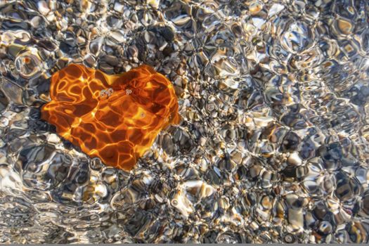 orange heart shaped stone at the beach