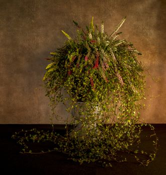 still life like a waterfall of flowers in a tall pot with heather and ivy