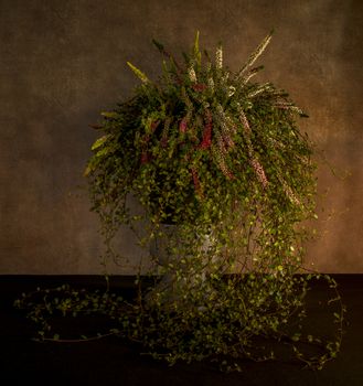 still life like a waterfall of flowers in a tall pot with heather and ivy