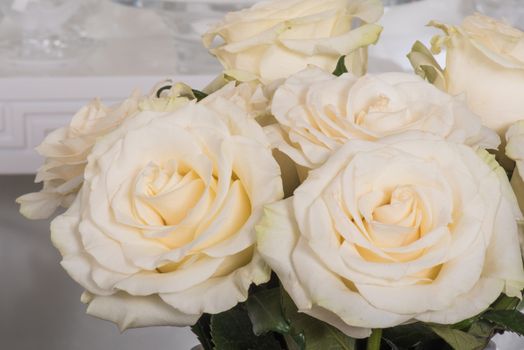 Bouquet of white roses flowers close-up in a vase on a gray background. Space for text. Greeting background.