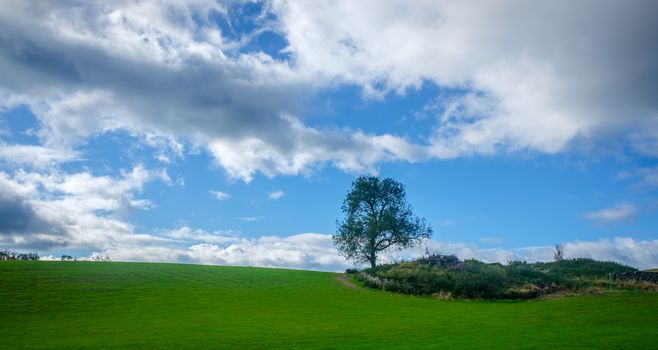 View across open farmland near Ings in the Lake Distict