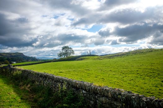 View across open farmland near Ings in the Lake Distict