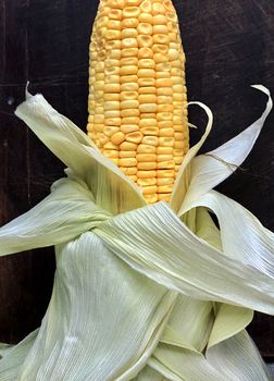 Isolated view of corn maize kept in a plate for cooking after removing the outer skin like leaves