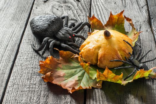 Homemade sweet pumpkin buns. Original baking in form of pumpkin and black toy spider. Symbols Halloween. Idea of design meal for Halloween party. Scary and funny Halloween food 