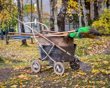 old Wheelbarrow and rake for harvesting fallen leaves