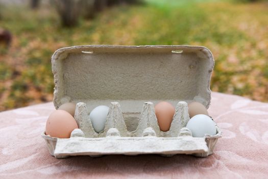 Carton egg box outside on Easter for design.
