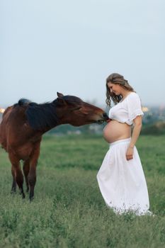 A pregnant girl in white communicates with a horse on a green meadow. Therapy and relaxation for pregnant women.