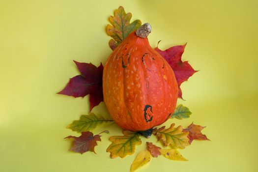 Funny pumpkin on a yellow background with autumn leaves .The concept of Halloween ,harvest,thanksgiving,vegetarianism.