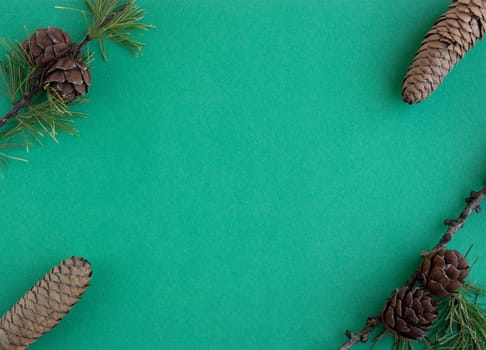 Fir branches with cones and fir cones on a green background. The concept of a New year.