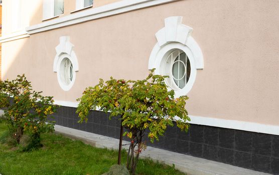 The fa ade on the side. Round white Windows on a pink facade.