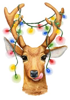 Christmas deer with a garland illustration. Watercolor drawing isolated.