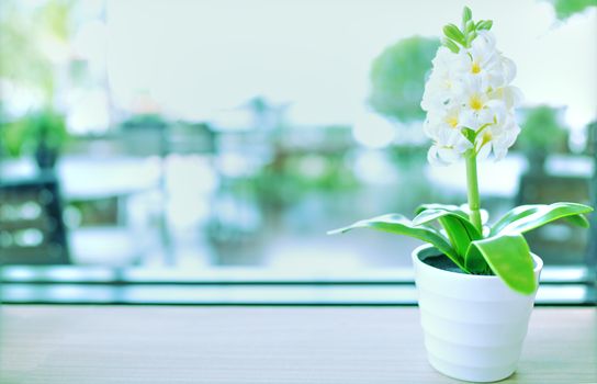 Vintage style image, ornamental plant on white glass pot with copy space.