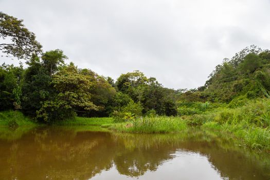 The view from the lake to the opposite island with lush plants