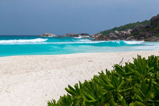 White sand on the beach and waves a lot of green plants and rocks