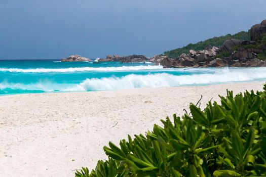 A white sand beach with turqouise water and stones