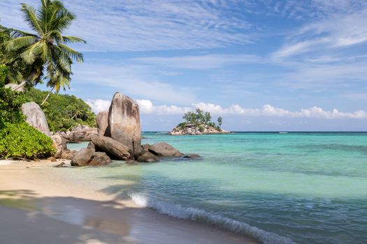 Big stones on the beach with a lot of green plants