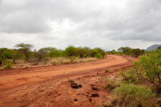 Scenery of the savannah, on safari in Kenya, red soil way