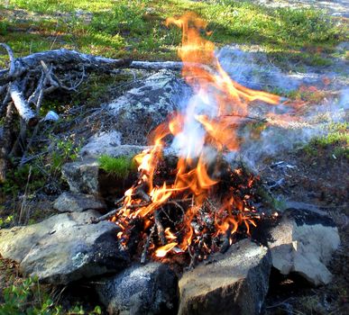 bonfire in the forest in nature. The bonfire is stoned.