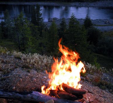 bonfire in the forest in nature. The bonfire is stoned.