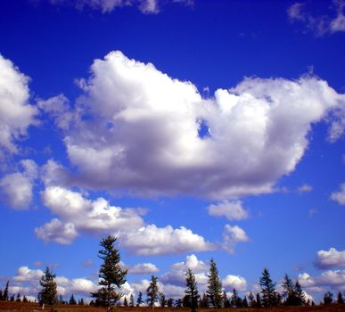 Blue sky with clouds over the taiga. The nature of the Russian north.