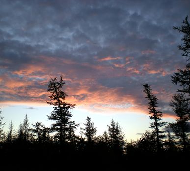 Blue sky with clouds over the taiga. The nature of the Russian north.