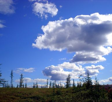 Blue sky with clouds over the taiga. The nature of the Russian north.