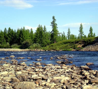 River in the taiga in northern Russia. The nature of the taiga in a mountainous area.