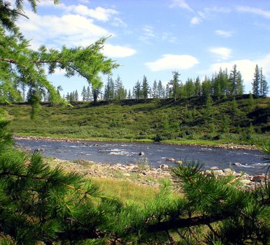 River in the taiga in northern Russia. The nature of the taiga in a mountainous area.