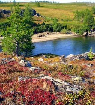 River in the taiga in northern Russia. The nature of the taiga in a mountainous area.