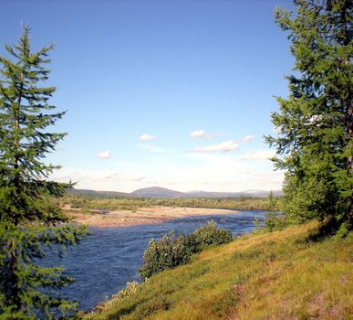 River in the taiga in northern Russia. The nature of the taiga in a mountainous area.