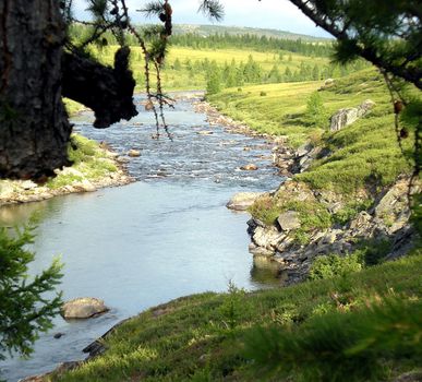 River in the taiga in northern Russia. The nature of the taiga in a mountainous area.