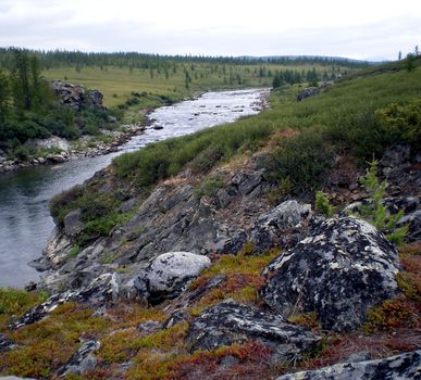 River in the taiga in northern Russia. The nature of the taiga in a mountainous area.