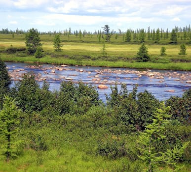 River in the taiga in northern Russia. The nature of the taiga in a mountainous area.