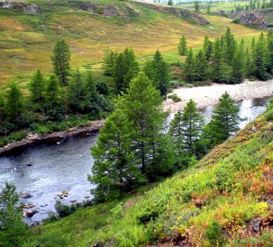 River in the taiga in northern Russia. The nature of the taiga in a mountainous area.