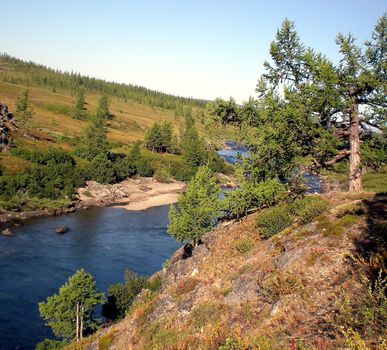 River in the taiga in northern Russia. The nature of the taiga in a mountainous area.