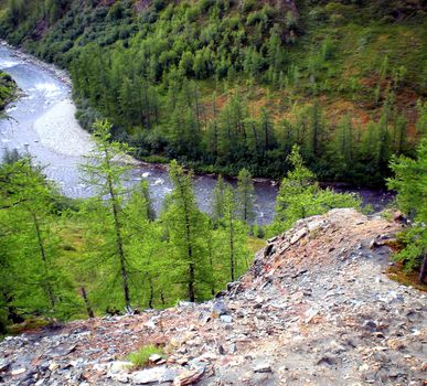 River in the taiga in northern Russia. The nature of the taiga in a mountainous area.