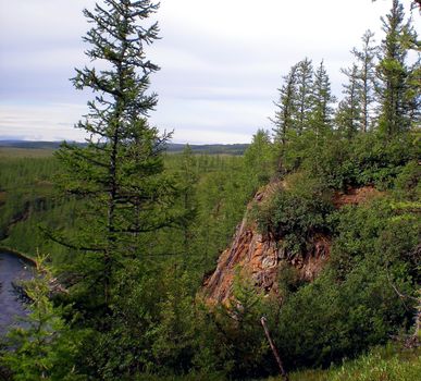 River in the taiga in northern Russia. The nature of the taiga in a mountainous area.