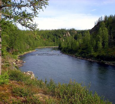River in the taiga in northern Russia. The nature of the taiga in a mountainous area.