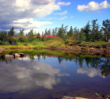 River in the taiga in northern Russia. The nature of the taiga in a mountainous area.