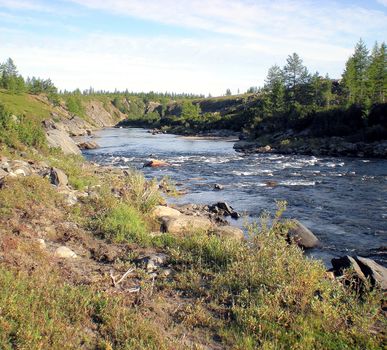 River in the taiga in northern Russia. The nature of the taiga in a mountainous area.