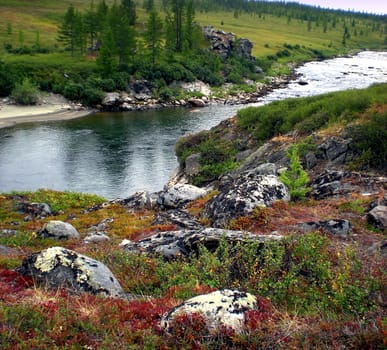 River in the taiga in northern Russia. The nature of the taiga in a mountainous area.