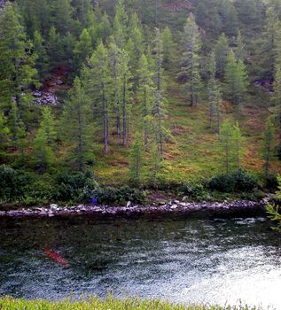 River in the taiga in northern Russia. The nature of the taiga in a mountainous area.