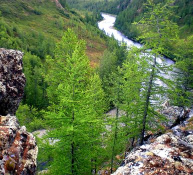 River in the taiga in northern Russia. The nature of the taiga in a mountainous area.