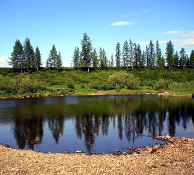 River in the taiga in northern Russia. The nature of the taiga in a mountainous area.