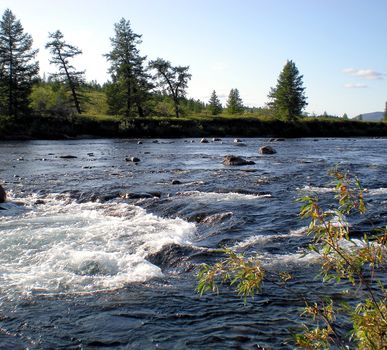 River in the taiga in northern Russia. The nature of the taiga in a mountainous area.