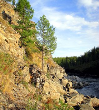 River in the taiga in northern Russia. The nature of the taiga in a mountainous area.