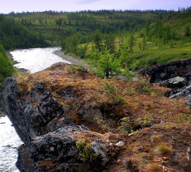 River in the taiga in northern Russia. The nature of the taiga in a mountainous area.