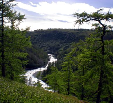 River in the taiga in northern Russia. The nature of the taiga in a mountainous area.