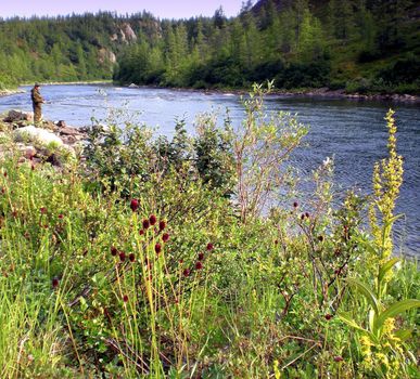 River in the taiga in northern Russia. The nature of the taiga in a mountainous area.